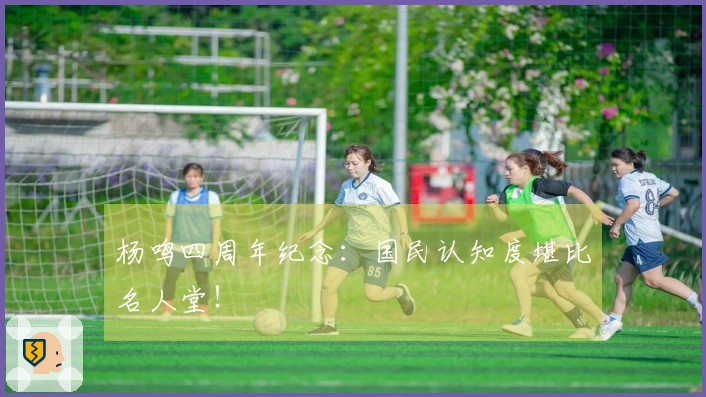 杨鸣四周年纪念：国民认知度堪比名人堂！