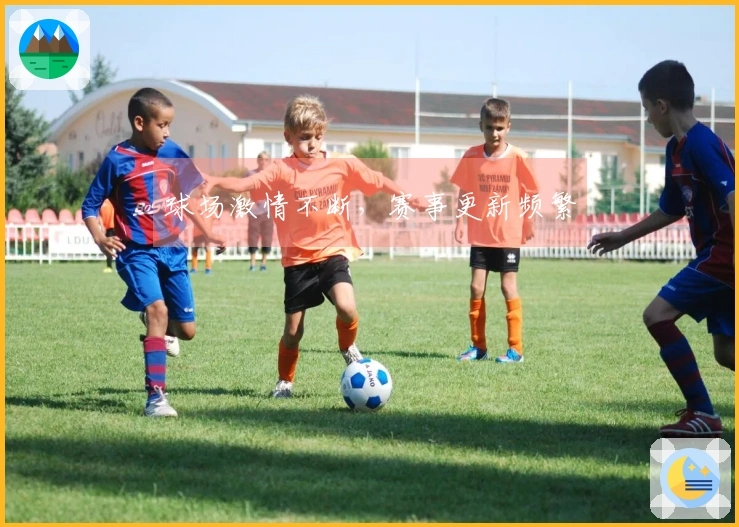 球场激情不断，赛事更新频繁